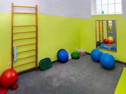 Rehabilitace